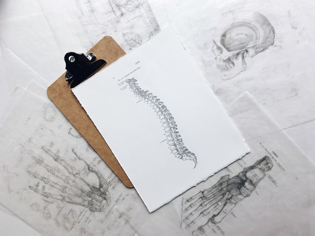 un dessin d'une colonne vertebrale